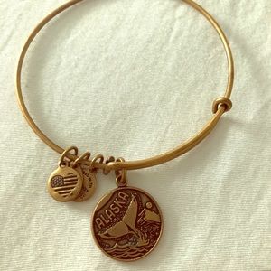 Alex and Ani Alaska Bracelet 2015